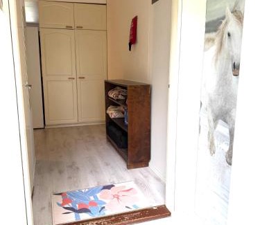 Nuutajarvi Apartamento | Yksiö Nuutajärvi Pikku Masa