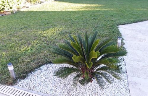 Senas Apartamento | Yofanto
