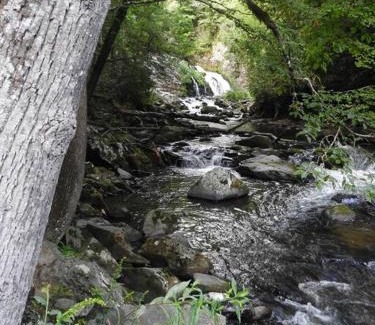Bryson City Casa | Yogi House Meditation Retreat