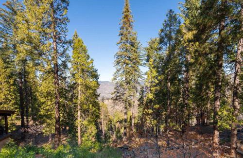Yosemite West Casa | Yosemite Aviary and Quail Within Yosemite - 2 Separate Family Units Welcoming Up To 14 Guests