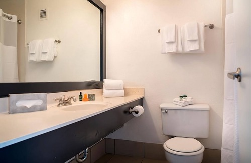 Las Vegas Hotel | You Found it, Amenity Packed Property Near Shark Reef Aquarium and High Roller!
