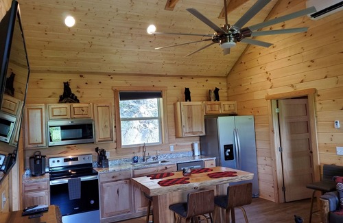 Whittier Cabina | You found the one! 13 mi to WCU, 8 mi to Casino! Dog friendly & HOT TUB! tubing