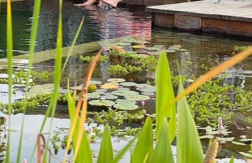Laxfield Cabina | You've found it! Pedro's Shed. A hidden Gem in Suffolk! With Pool.