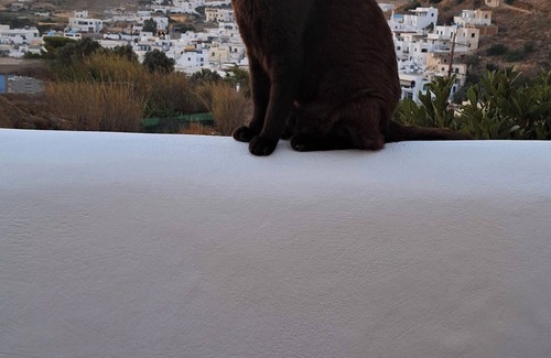 Vivlos Apartamento | YouGa Nest – Cozy & Relaxing Stay with View in Naxos