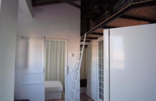 Extramurs Apartamento | Young Penthouse