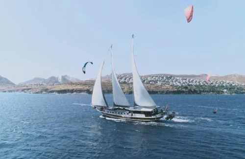 Kotor Alquiler De Eote | Your accommodation in Kotor bays