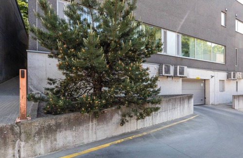 Old Town Apartamento | Your Dream Flat in the City Centre + Free Parking