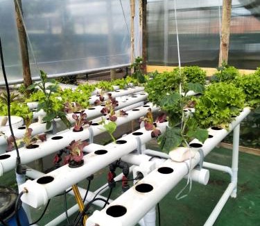 Carvide Casa | Your HOME ECO & NATUR