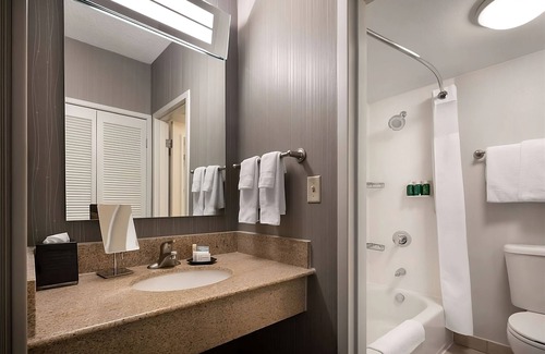 Camelback East Hotel | Your Relaxing Getaway Awaits! w/ Pool, Close to Desert Storm Park and Zen Garden