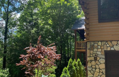 Waynesville Cabina | Your Smoky Mountain Cabin suite…In the heart of the Smokies. Dog friendly!