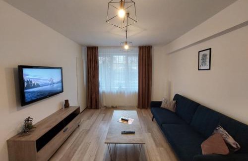 Tirgu Mures Apartamento | Youth Central Apartment
