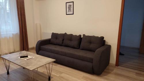 Tirgu Mures Apartamento | Youth Central Apartment