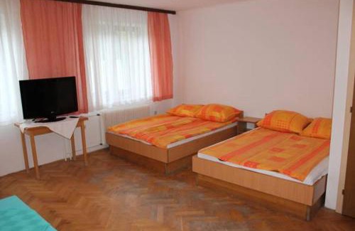 Kranjska Gora Hostal | Youth Hostel Nika