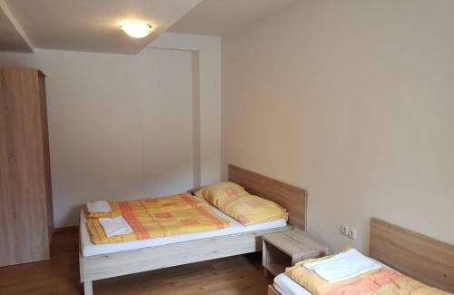 Kranjska Gora Hostal | Youth Hostel Nika