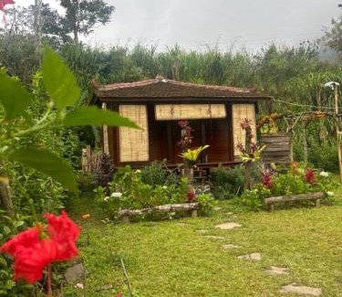Bedugul Cabina | Yucan eco stay