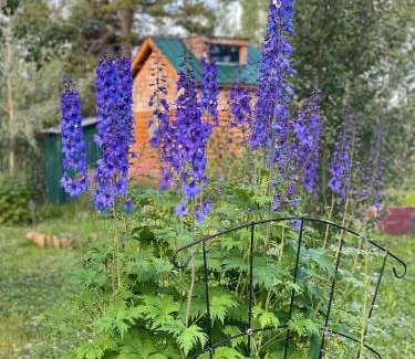 Whitehorse Cama Y Desayuno | Yukon River Farm