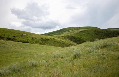Chuy Province Otro | Yurt Camp КӨNӨK