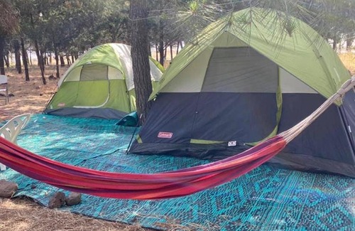 Qatsrin Otro | Yurt