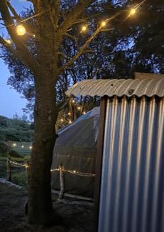 Haverfordwest Otro | Yurt Pitch - TY GRUG RETREAT
