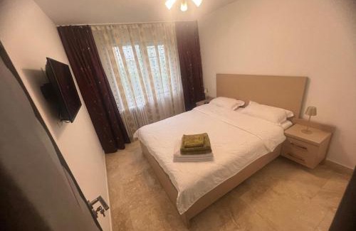 Ramnicu Valcea Apartamento | Ywa