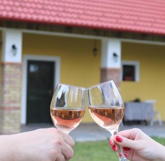 Kiskunmajsa Apartamento | Zöld Tanya Vendégház és Rendezvényközpont