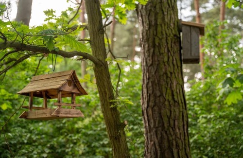 gmina Wieliszew Casa | Zacisze Narwi