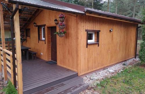 Ostrow Wielki Apartamento | Zacisze u Ani