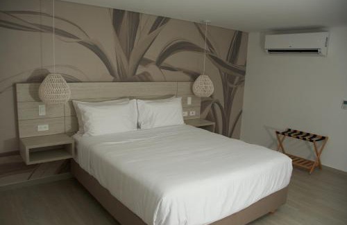 Punta Hansa Hotel | Zafi Hotel