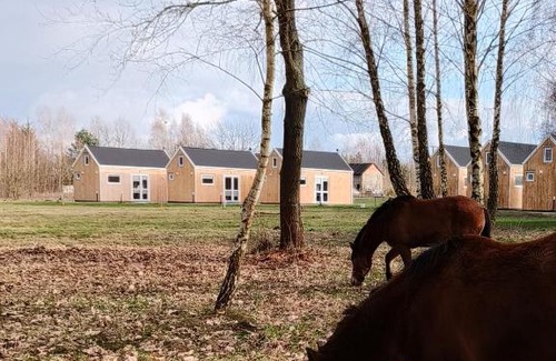 Mszczonow Casa | ZAGAJNIK Country Camp obok Suntago