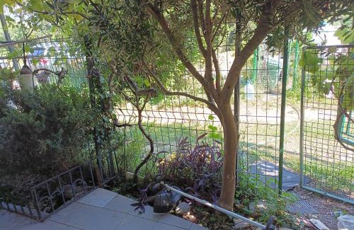 Sutomore Apartamento | Zagradge IN Apartments