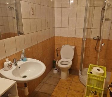 Golcuv Jenikov Apartamento | Zahradní domek
