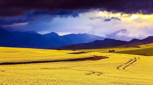 Caledon Casa | Zamar Guest House