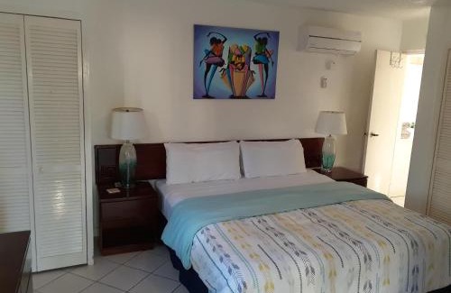 Ocho Rios Apartamento | Zander's Paradise @Mystic (King)