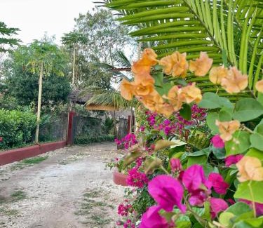 Marumbi Apartamento | Zanzllywood Hotel and Apartments