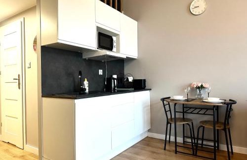 Fabryczna Apartamento | Zarembowicza Apt 52 - Self Check-In 20h - Lift