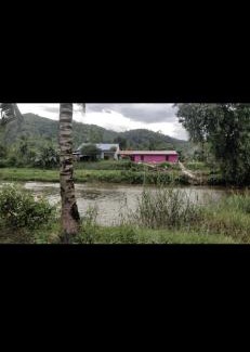 Raub Casa | zarifa homestay batu malim