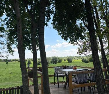 Zasavica Casa | Zasavčanka