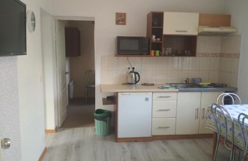 Yaremche Apartamento | Zelena Sadyba Bila Stavka