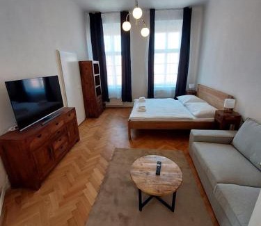 Stare Mesto Apartamento | Zelezna - Old Town View Residence