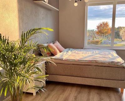 Jelgava Casa | Zeltāres