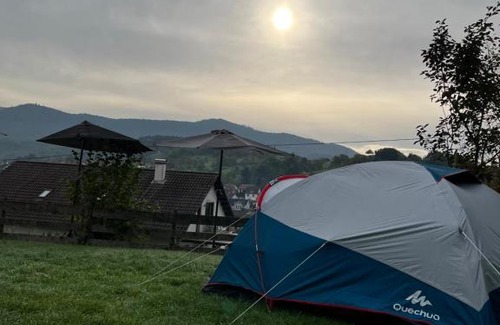 Gaggenau Otro | Zeltplatz Großer Wald