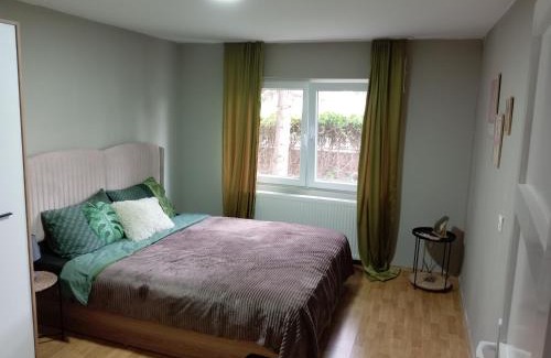 Zajecar Apartamento | Zen apartman