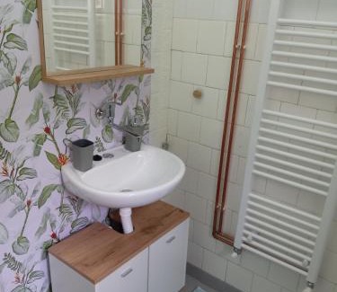 Zajecar Apartamento | Zen apartman