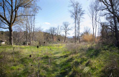 Ladern-sur-Lauquet Casa | Zen Experience including Yoga & Healthy food