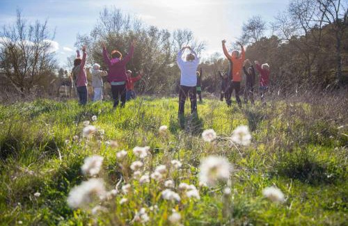 Ladern-sur-Lauquet Casa | Zen Experience including Yoga & Healthy food