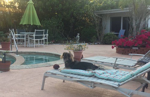 Coquina Sands Apartamento | Zen Garden Private Guest House por Beach n Golf