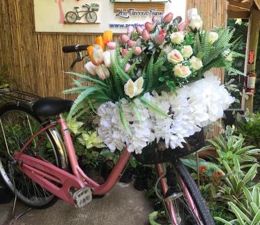 Dingalan Complejo | Zen Tierras Farm by Cocotel