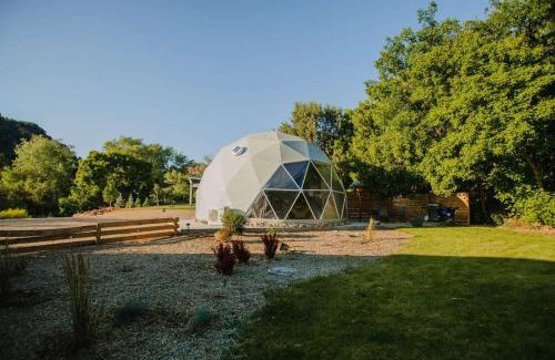 Glendale Casa | Zen Zion Evergreen Dome