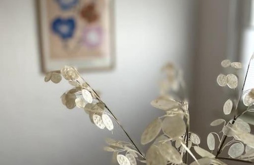Frohnhausen Apartamento | Zentral wohnen in ruhiger Lage! MA2R