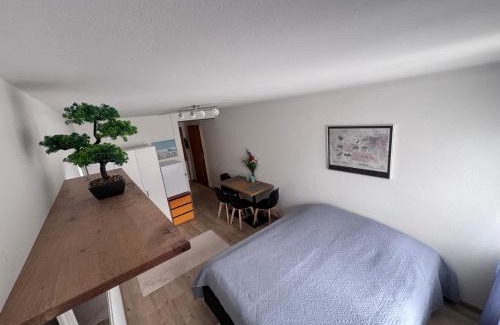 Sandrain Apartamento | Zentrale 1-Zimmer-Wohnung Marzili Bern